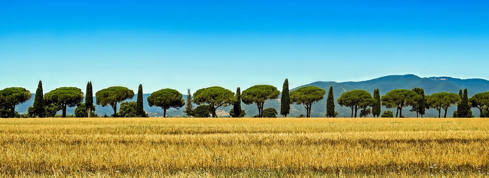 Italienisch lernen in Italien